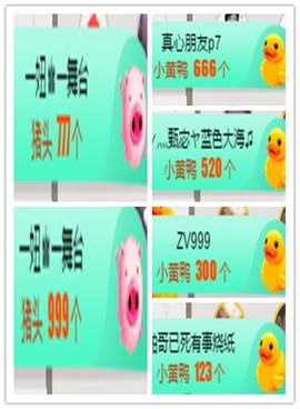故乡111主播照片