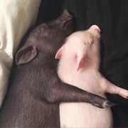 城里的～*农村菇凉*