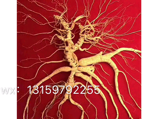 大漠孤狼yj的主播照片