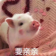 赵梓羽o.