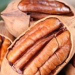 阳光summer的头像