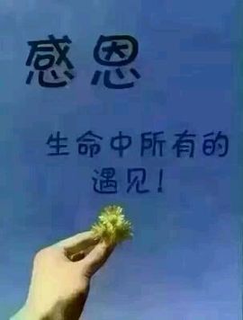 ❤娜宝主播照片