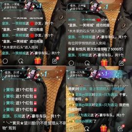 皇族、丫头💜主播照片