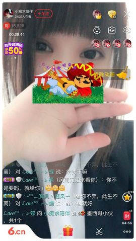 嗷~小熊熊！主播照片