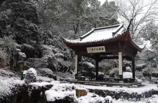 ♬过儿主播照片