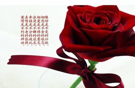 百变玲姐主播照片