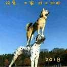 张振方1761081