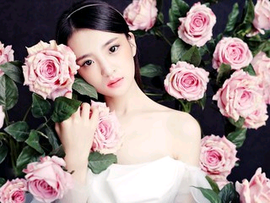 《林～花语海洋》主播照片