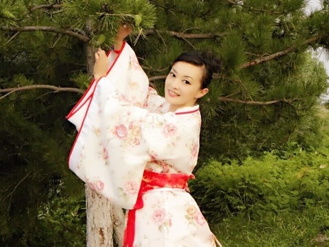青狐妖姬海报