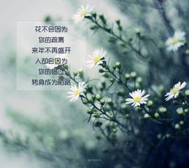 楚楚cZ❤主播照片