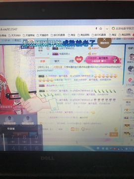 丹从心开始求老板主播照片