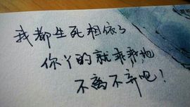 ❤️┛尊上┗万年老六主播照片