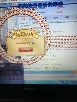 丹从心开始求老板主播照片
