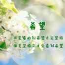 忍不住想念tw