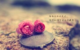 嗯哼……！主播照片