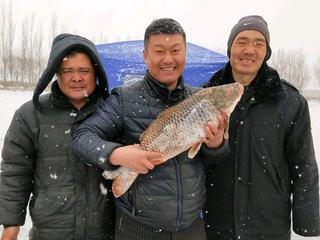 李洪国vk的主播照片