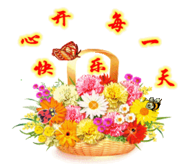 heartas止水主播照片