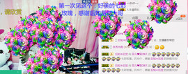 菲菲又停播了主播照片