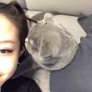 王喜儿•