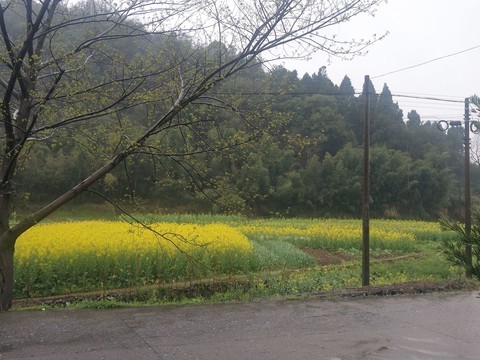 通宝天下户外景点直播海报