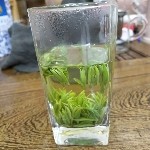 长阳老茶树茶庄。张琳