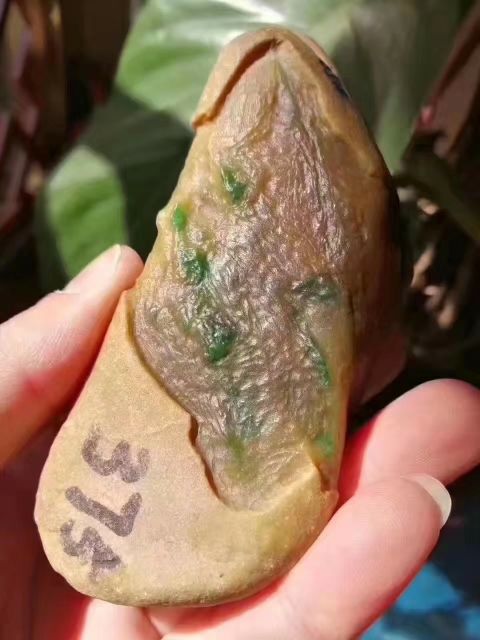 干肉身9斩灵魂的主播照片