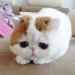 @.孤海报