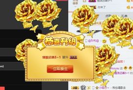 海鸽晚上见主播照片