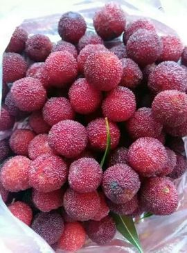 慧慧天使主播照片