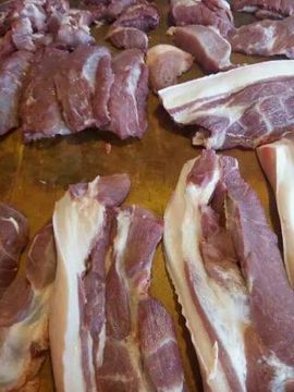 慧慧天使主播照片