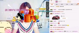 一只雁~主播照片