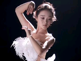 大白鲨搁浅主播照片