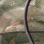 微信_8413海报