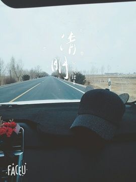 董姨？主播照片