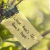 最后一抹＇虚无