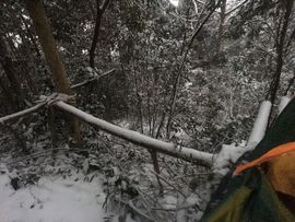 荒野独居主播照片