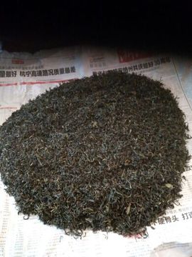 狼王风采主播照片