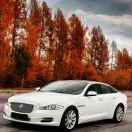 彬彬有礼a1的头像