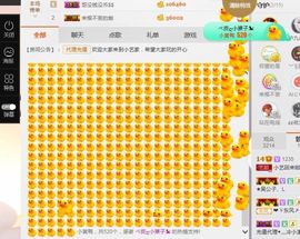 小艺停播主播照片