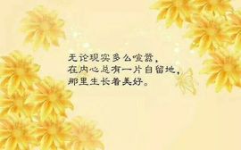 小燕子％主播照片