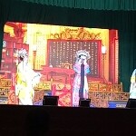 20100#月月红。