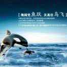 海阔天空2y6