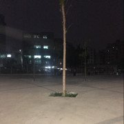 浪漫🌹铃之路海报