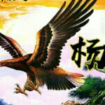 〈顺其自然〉m海报