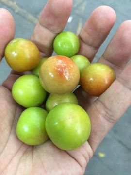 小甜甜翡翠🌻主播照片