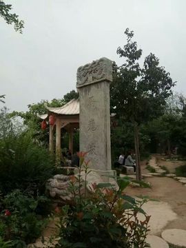 隨風的沙主播照片
