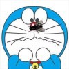 男孩，l