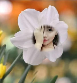 【🌼踏●雪🌼】主播照片