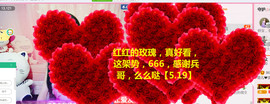 菲菲又停播了主播照片