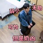 jellyjelly的头像